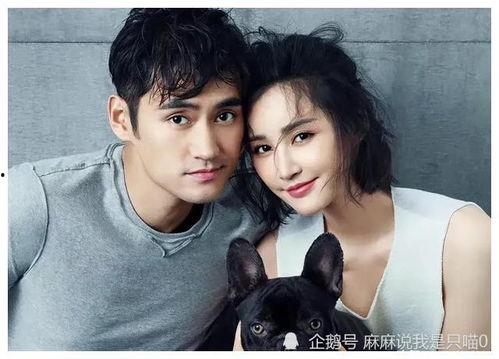 明星娱乐吃瓜君是谁啊,网络红人背后的故事