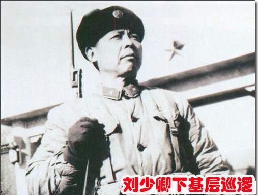 娱乐吃瓜酱陶勇